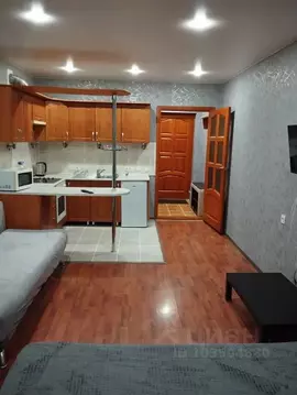 Студия Пермский край, Пермь Подлесная ул., 3А (28.0 м)