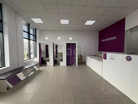 Помещение свободного назначения в Санкт-Петербург ул. Владимира ...