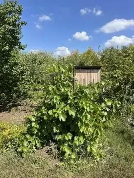 Участок в Самарская область, Волжский район, Воскресенка с/пос, ...