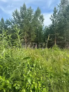 Участок в Свердловская область, Талица Южный-3 мкр,  (15.0 сот.)