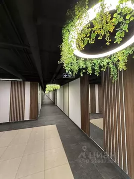 Офис в Омская область, Омск ул. Фрунзе, 1к4 (59 м)