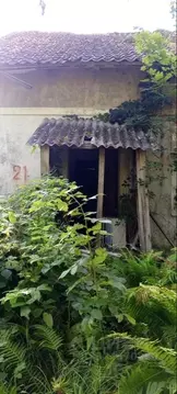 Помещение свободного назначения в Калининградская область, ...