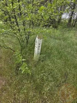 Участок в Крым, Сакский район, Митяевское с/пос, Химик-3 СНТ  (5.0 ...