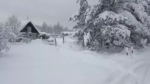 Участок в Ленинградская область, Кировский район, Мгинское городское ...