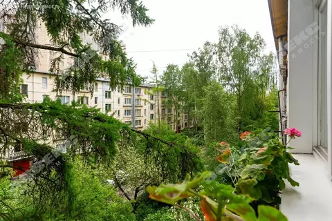 3-комнатная квартира: Санкт-Петербург, Краснопутиловская улица, 103 ...