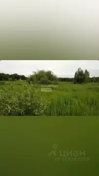 Участок в Тюменская область, Нижнетавдинский район, Геофизик 2 СНТ  ...