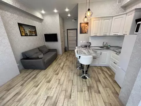 Студия Краснодарский край, Сочи ул. Гастелло, 28к1 (26.0 м)