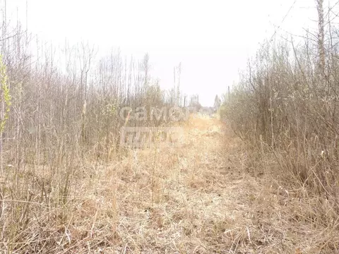 Участок в Тюменская область, Нижнетавдинский муниципальный округ, ...