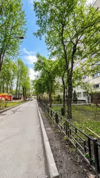 1-к кв. Санкт-Петербург Белградская ул., 28К1 (29.2 м)