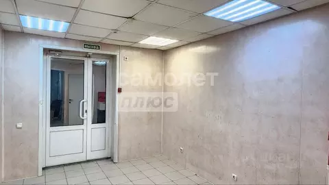 Торговая площадь в Челябинская область, Челябинск ул. Мамина, 3 (10 м)