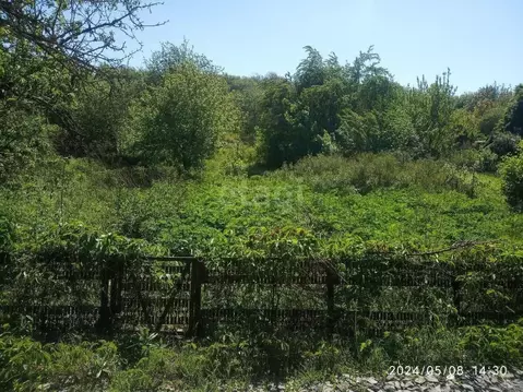 Участок в Белгородская область, Белгород Котельщик садовое ...