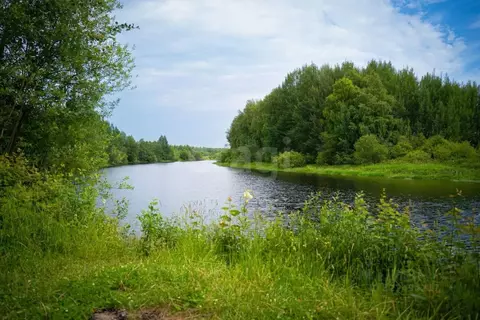 Участок в Вологодская область, Сокольский муниципальный округ, д. ...