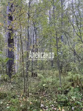 Участок в Ленинградская область, Приозерский район, Плодовское с/пос, ...