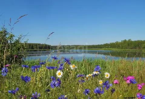 Участок в Владимирская область, Петушинский район, Пекшинское ...