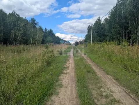Участок в Новосибирская область, Новосибирский район, Морской ...