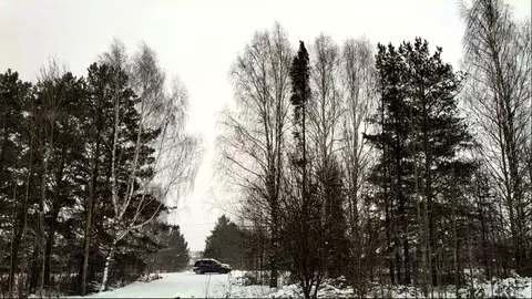 Участок в Пермский край, Пермский район, пос. Юго-Камский  (1200.0 ...