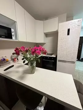 Студия Москва ш. Рязановское, 31к2 (24.4 м)