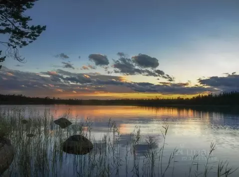 Участок в Московская область, Истра муниципальный округ, д. Ремянники  ...