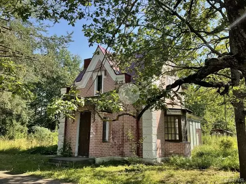 Помещение свободного назначения в Санкт-Петербург, Санкт-Петербург, ...