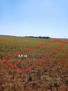 Участок в Крым, Сакский район, с. Добрушино  (446.9 сот.)