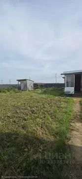 Участок в Татарстан, Тукаевский район, Малошильнинское с/пос, с. ...