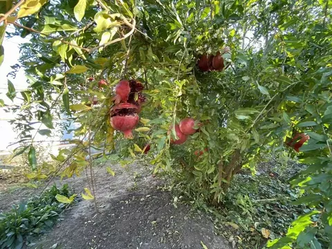 Дом в Краснодарский край, Усть-Лабинск  (45 м)