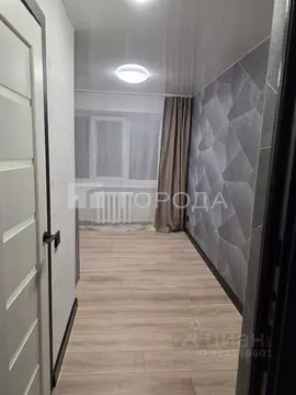 Студия Алтайский край, Барнаул ул. Германа Титова, 12/78 (13.5 м)