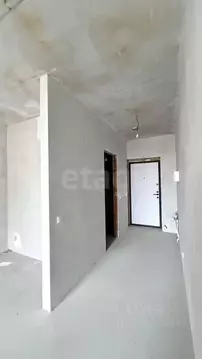 Студия Калининградская область, Калининград Тихорецкий проезд, 5 (23.0 ...