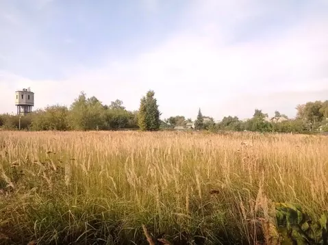 Участок в Брянская область, Фокино ул. Мира (9.5 сот.)