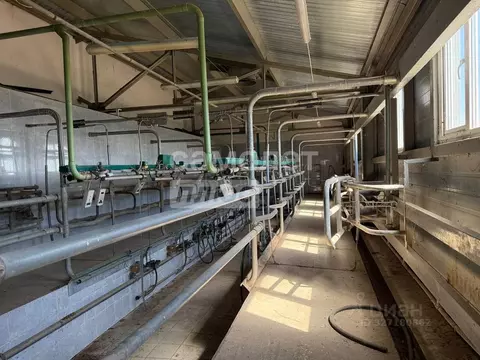 Производственное помещение в Астраханская область, Красноярский ...