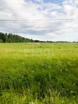 Участок в Ярославская область, Ярославский муниципальный округ, с. ...