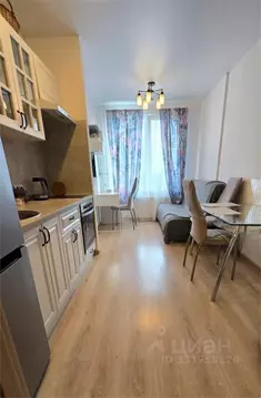 1-к кв. Санкт-Петербург ул. Федора Котанова, 13к1 (28.0 м)