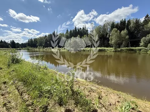 Участок в Калужская область, Медынский район, Адуево с/пос, д. ...