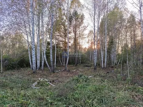 Участок в Тюменская область, Нижнетавдинский муниципальный округ, ...
