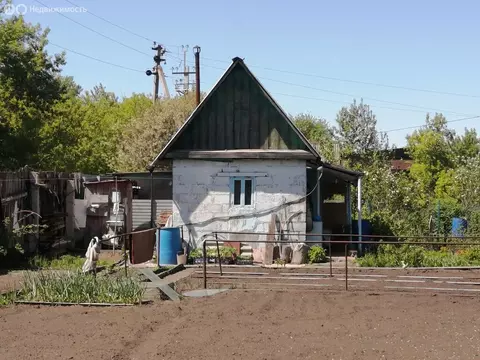 Дом в Омск, СНТ Труд (15 м)