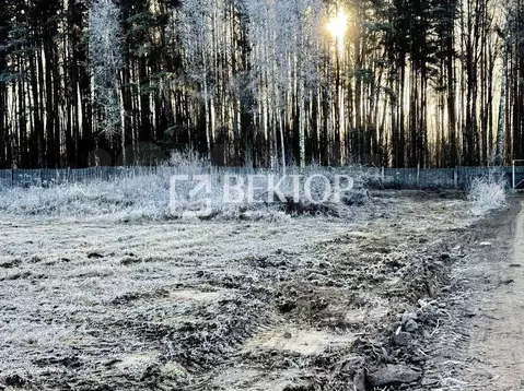 Участок в Костромская область, Кострома Ручеек СНТ, 31 (12.0 сот.)