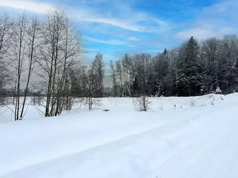 Участок в Московская область, Дмитровский муниципальный округ, ...