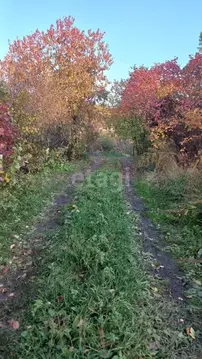 Участок в Амурская область, Благовещенск Завода Амурский Металлист СТ, ...