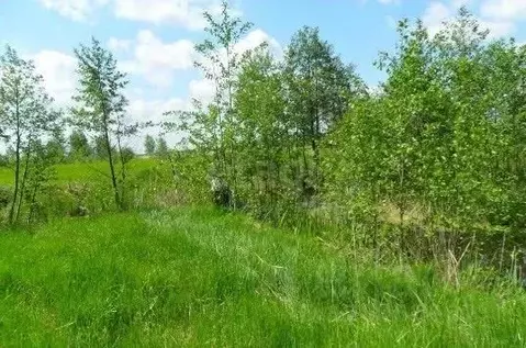 Участок в Свердловская область, Верхняя Пышма городской округ, пос. ...