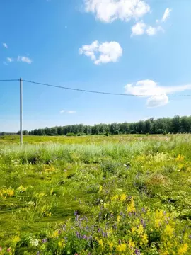 Участок в Свердловская область, Каменский муниципальный округ, д. ...