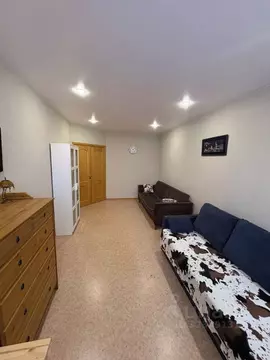 1-к кв. Ленинградская область, Тосненский район, пос. Тельмана 9к2 ...