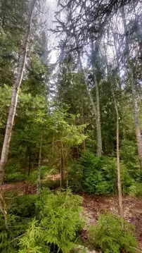 Участок в Москва Искатель садовые участки, 4 (8.0 сот.)