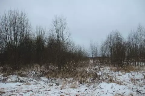 Участок в Московская область, Шаховская муниципальный округ, д. ...