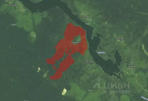 Участок в Тверская область, Калязинский район, д. Провалино  (12500.0 ...