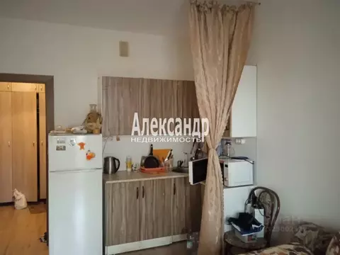 Студия Ленинградская область, Кудрово г. Всеволожский район, Заневское ...