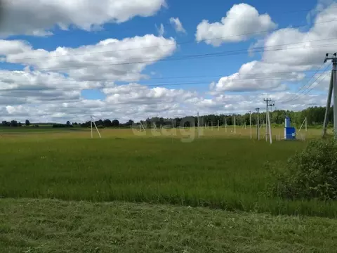 Участок в Тюменская область, Тюменский муниципальный округ, ...