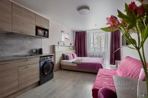 1-к кв. Санкт-Петербург Детский пер., 2 (30.0 м)