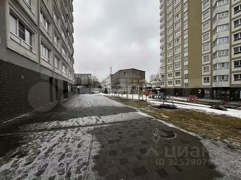 Студия Алтайский край, Барнаул ул. Челюскинцев, 80А (20.0 м)