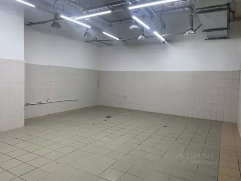 Помещение свободного назначения в Санкт-Петербург пос. Шушары, ...