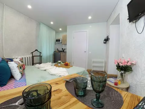 1-к кв. Татарстан, Казань Габдуллы Тукая ул., 9 (16.0 м)